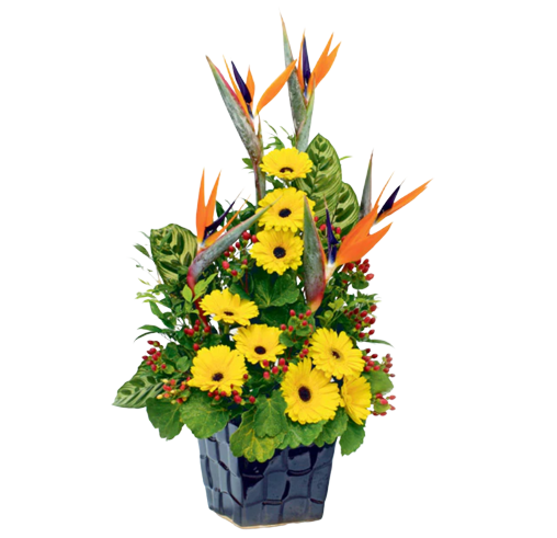 Sunshine Paradise Gerberas Table Flower (FTA0082) F&H