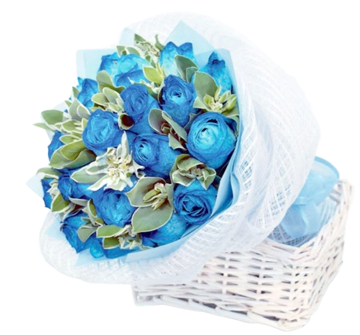 18 Blue Roses Bouquet (HB0088) F&H